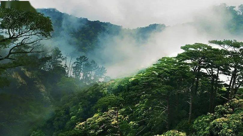 符合汽油机、柴油机EPA注册