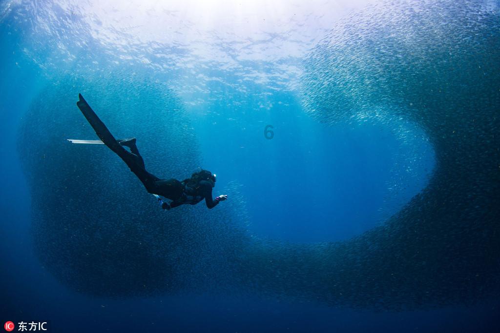 海盗的寻宝之旅