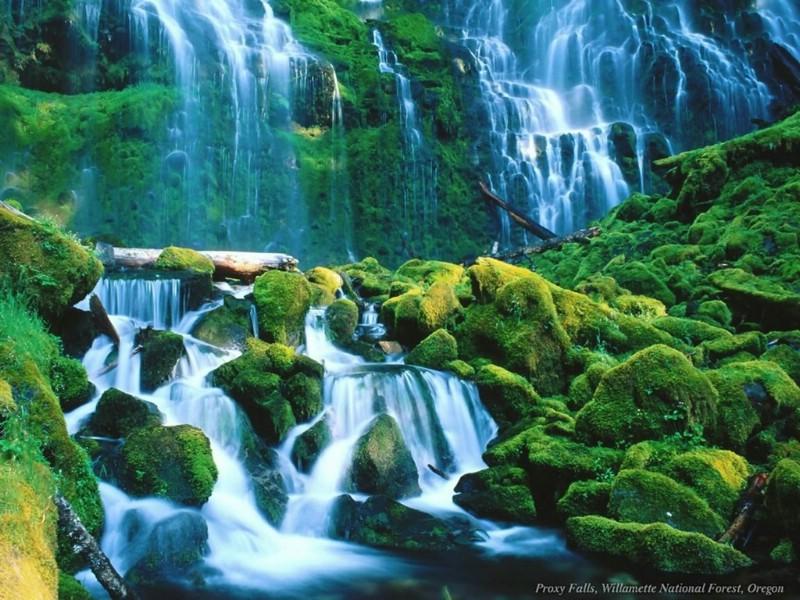 芋圆怎么做才会q弹好吃游戏画面