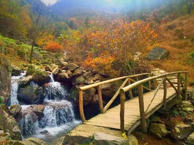 甜美奥莉吃甜点