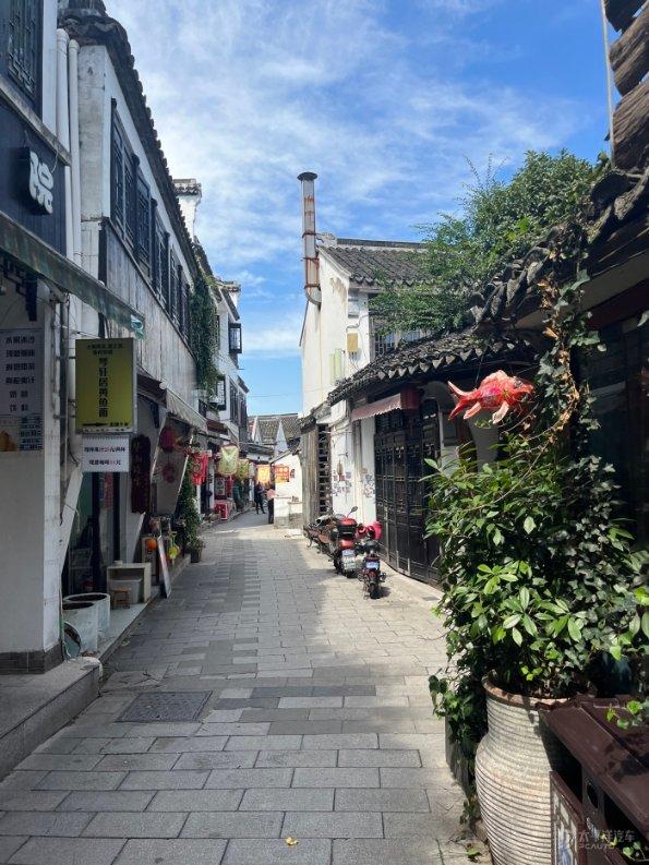 芭比的大学之旅