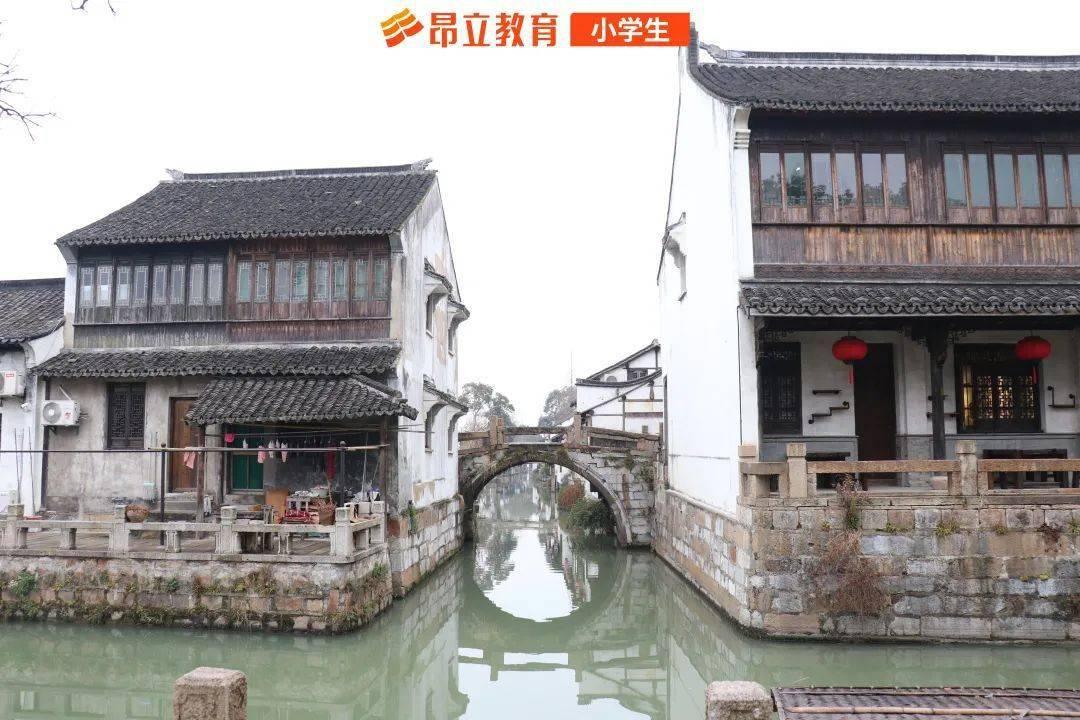 小猫钓鱼游戏龙王版有船